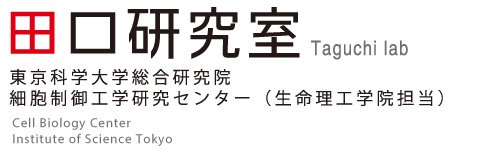 東工大・田口研 細胞制御工業研究センター（生命理工学院担当）田口研究室