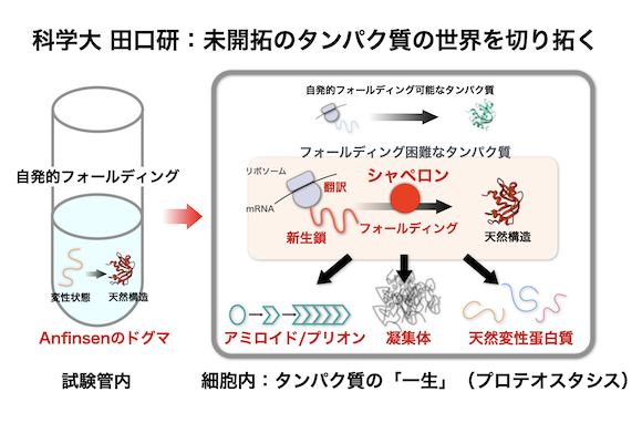 研究概要